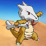 Marowak301