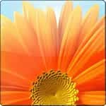 OnurhanYegenOfficial