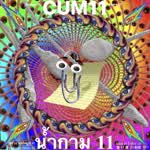 CUM11