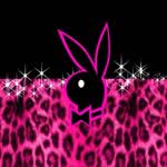bimbopopstar