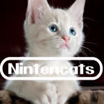 NintendoCat