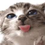 Kenu