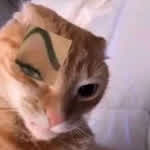 Zoseph