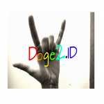Doge2ID