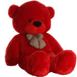 Daniel64bear