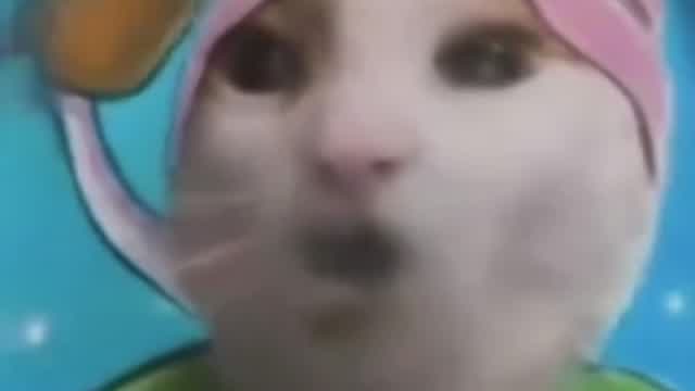 10 minutos de humor roto (Shitpost, Goofy ahh, 21st Century humor) (parte 3)