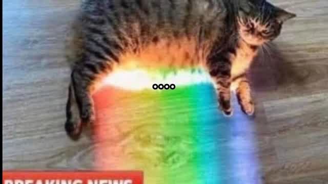 funniest lgbt debate ever