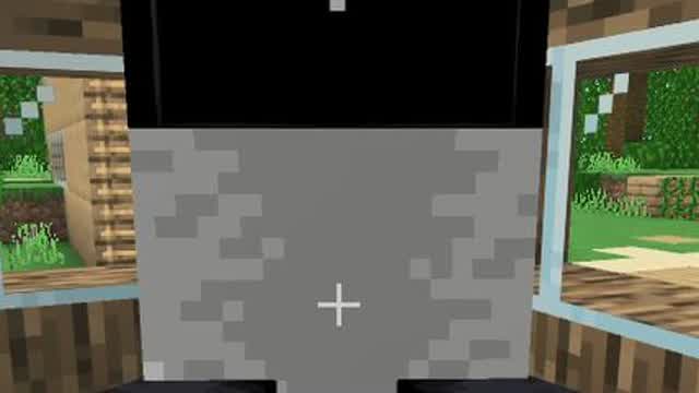 Me And Leo My Panda In Minecraft 1