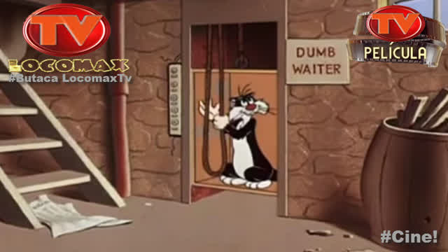 LocomaxTv Bolivia Anime Diciembre 2025