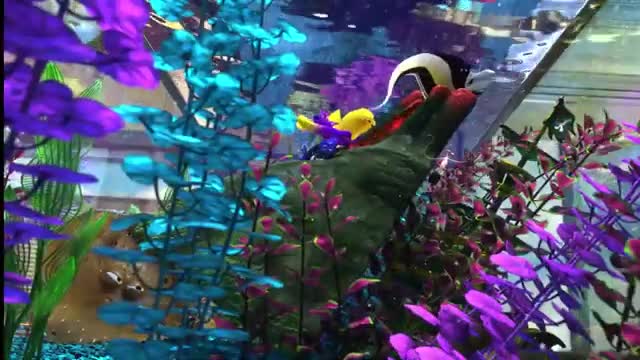 Fishy, wake up! Fishy, wake up!