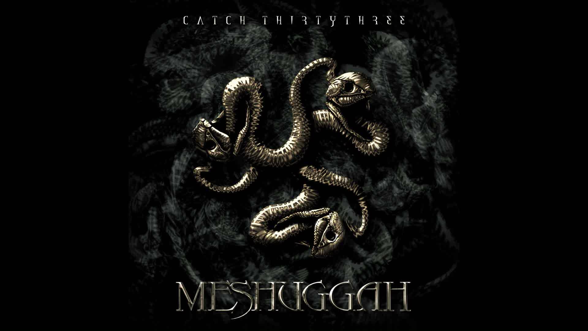 Meshuggah - Dehumanization