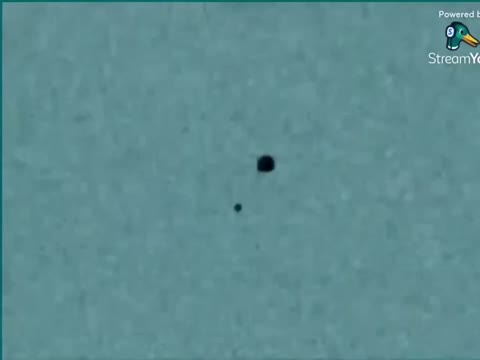 Diabort Csupo Diabort Csupo