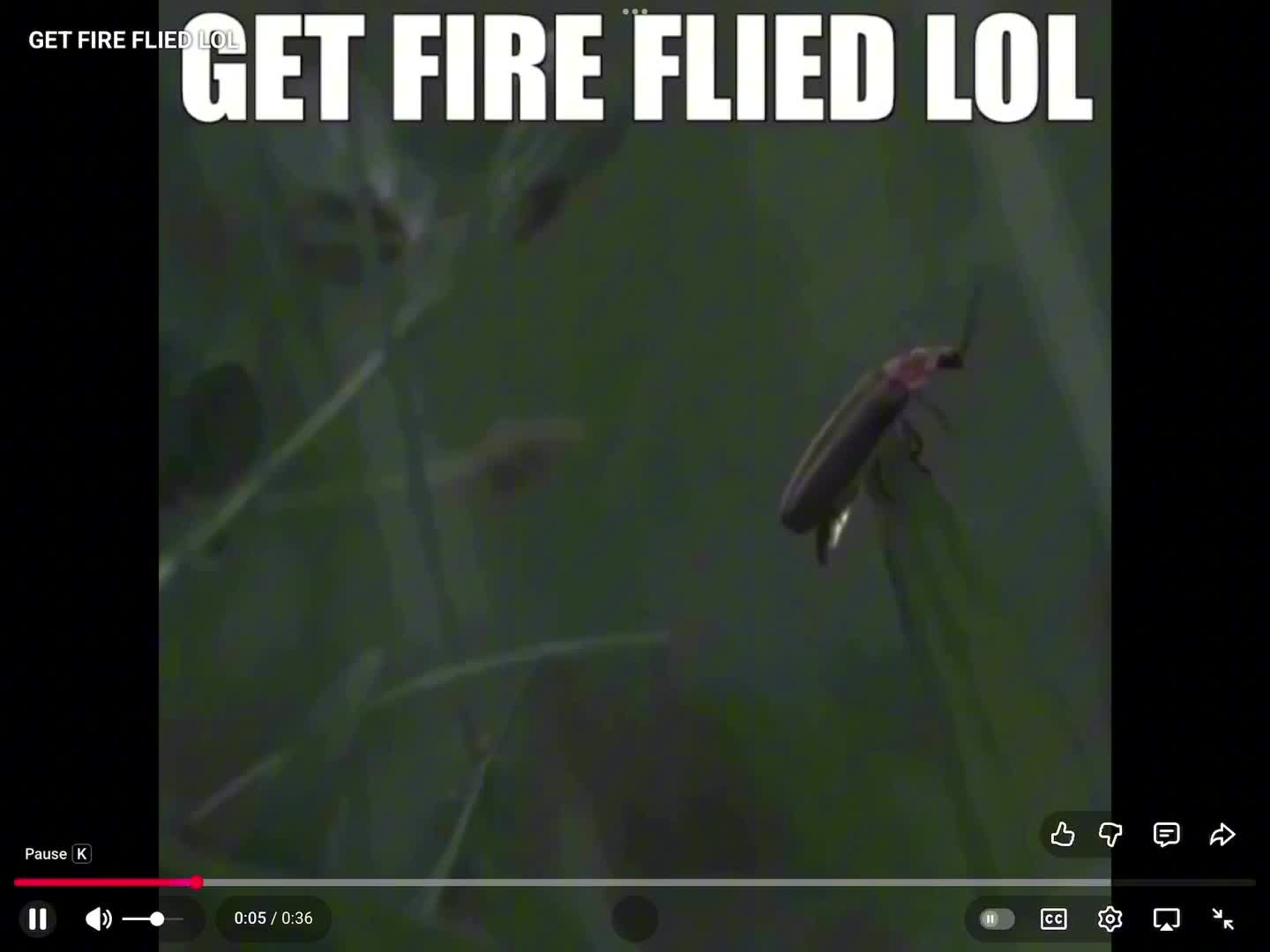 21 rickrolls in one video 21 rickrolls in one video