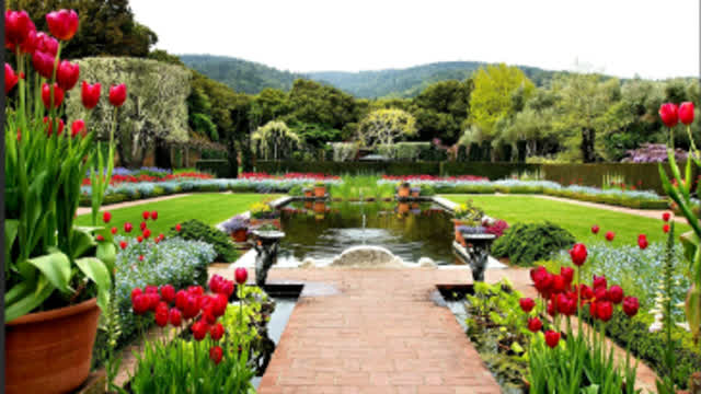 PARTY.exe 3 - Star World 01: Steam Gardens PARTY.exe 3 - Star World 01: Steam Gardens