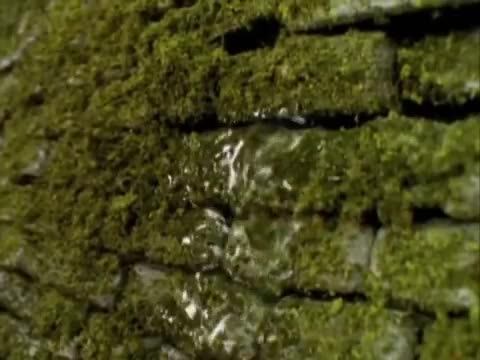 Thomas Y Sus Amigos - Toby Y La Inundacion episodio 10 temporada 5