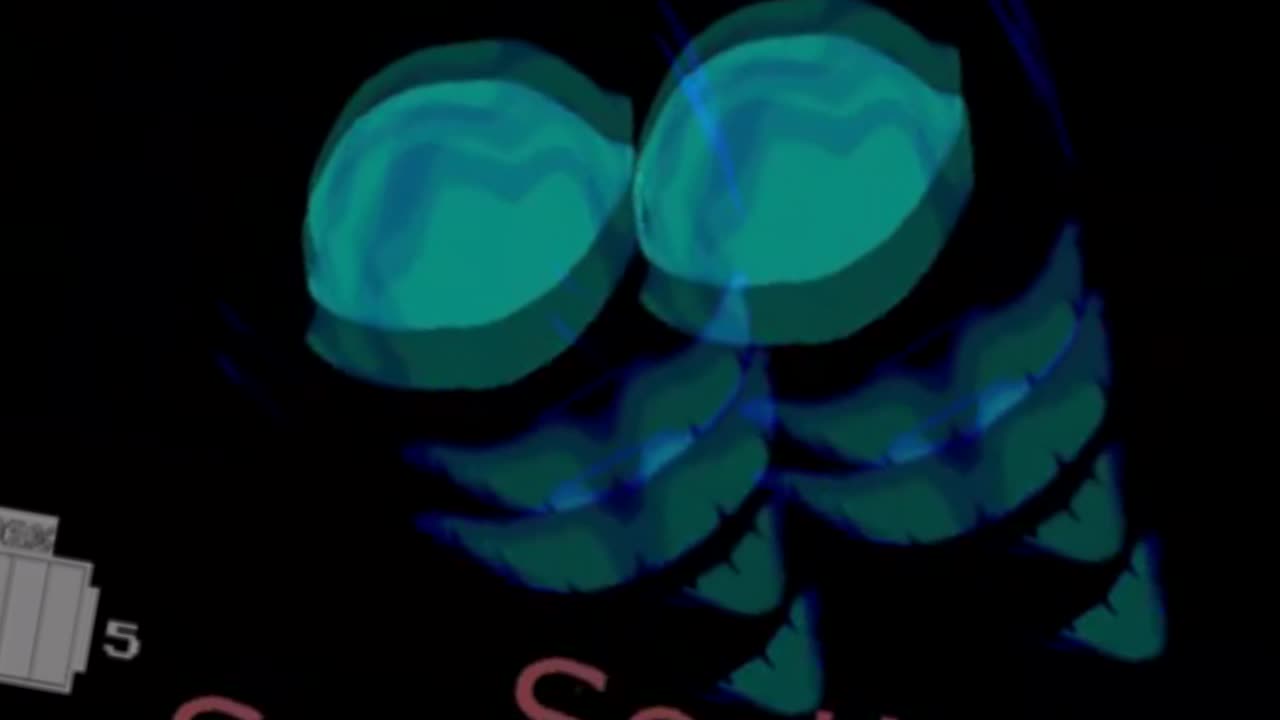 Zoobe Pets - Sparschwein in G MAJOR.