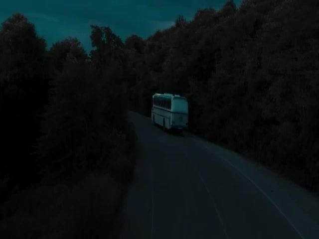 YEŞİL ÖRDEK GİBİ