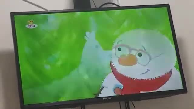 The Snowies - Chicken