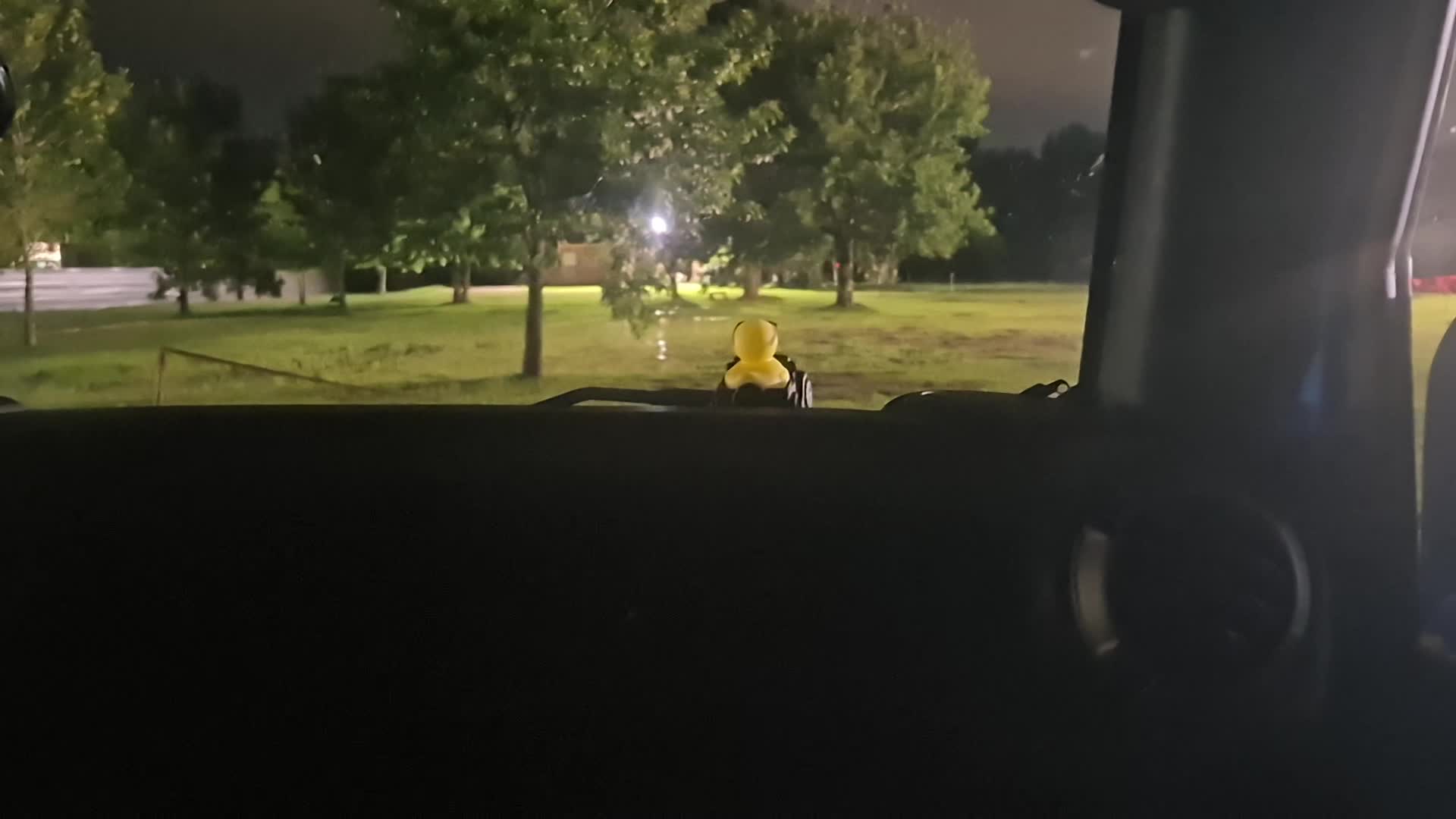 Quiet night