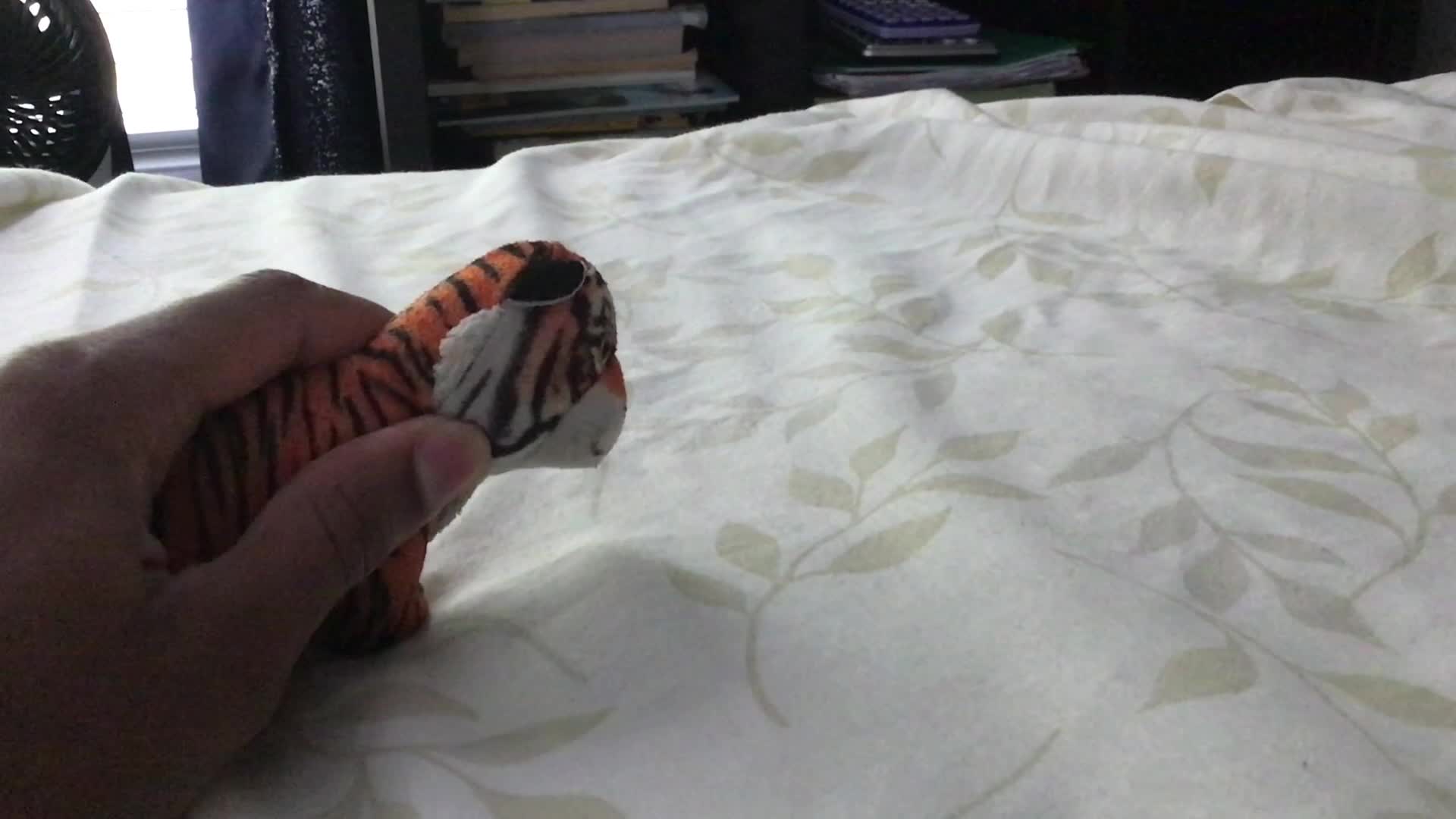 When you wear a Tiger Costume