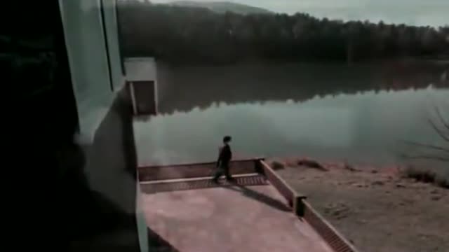 SENİ İSTİYORUM SENİ SENİ İSTİYORUM SENİ