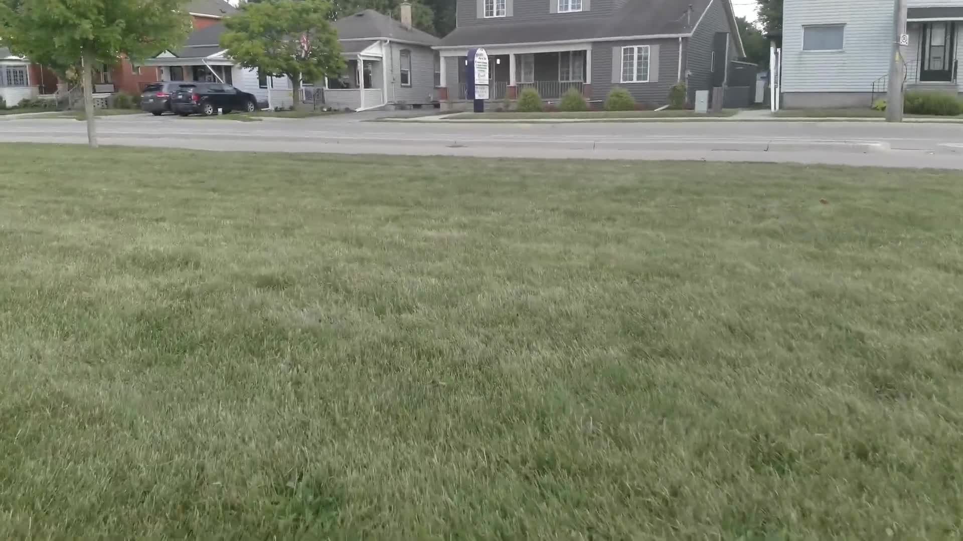 Local drone videos of our town