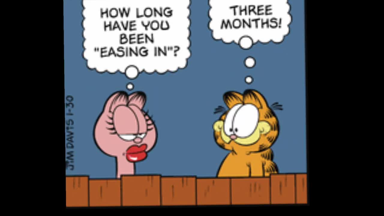 2026_01_30 Garfield Comic Dub