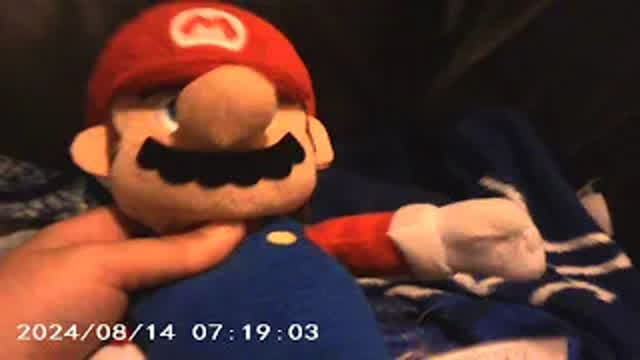 Mario's Dog