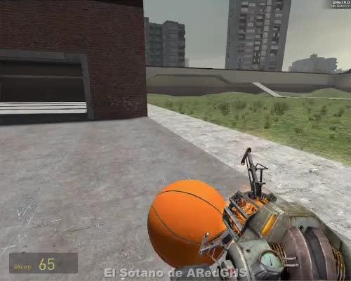 1 Basketball 1 Dumbass