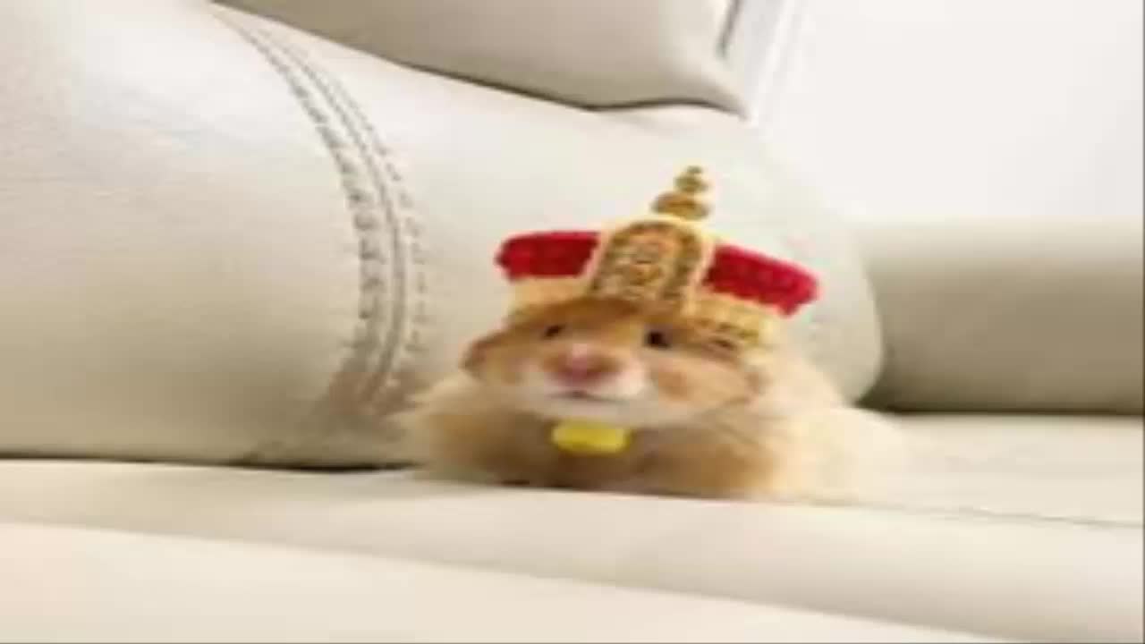 Critica destructiva a los mocosos malcriados