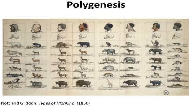 Monogenesis or Polygenesis
