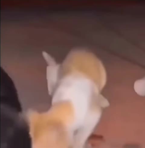 Bro really said come here