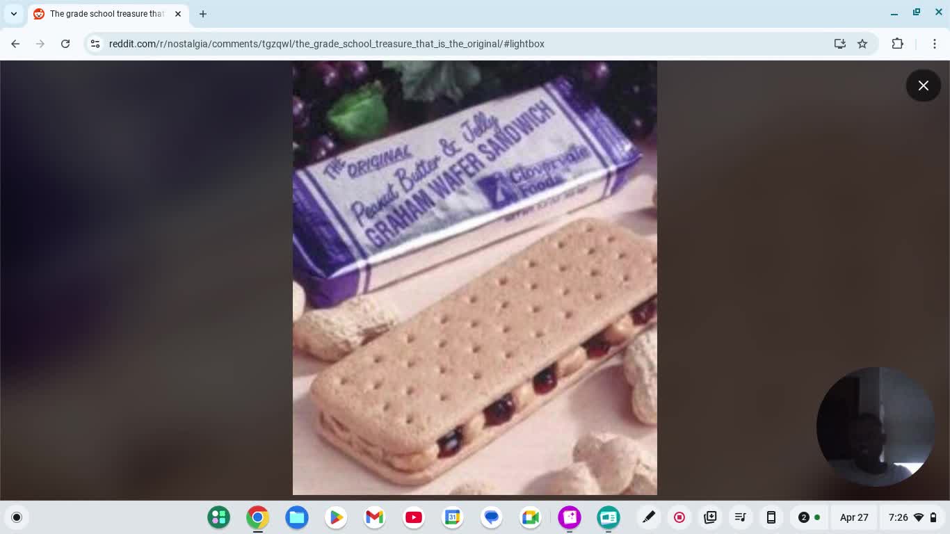 My Elementary School Year PB&J Bars Were Fire Back Then!