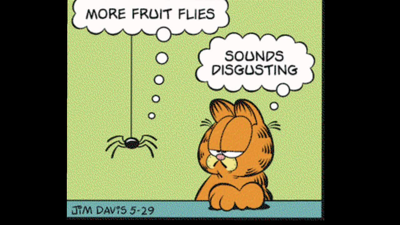2025_05_29 Garfield Dub