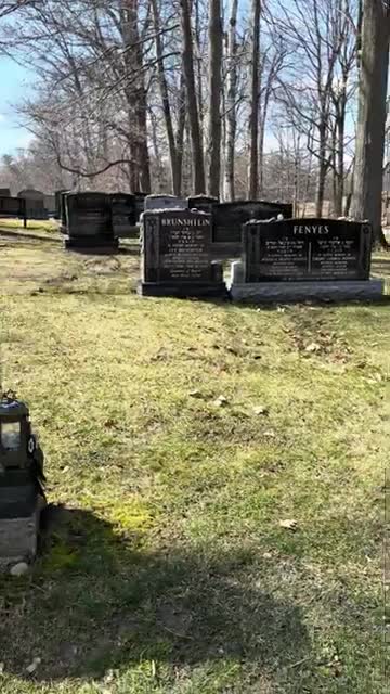 Corey Haim’s Grave, Ontario, Canada - Bearded Bandit (360p, h264)