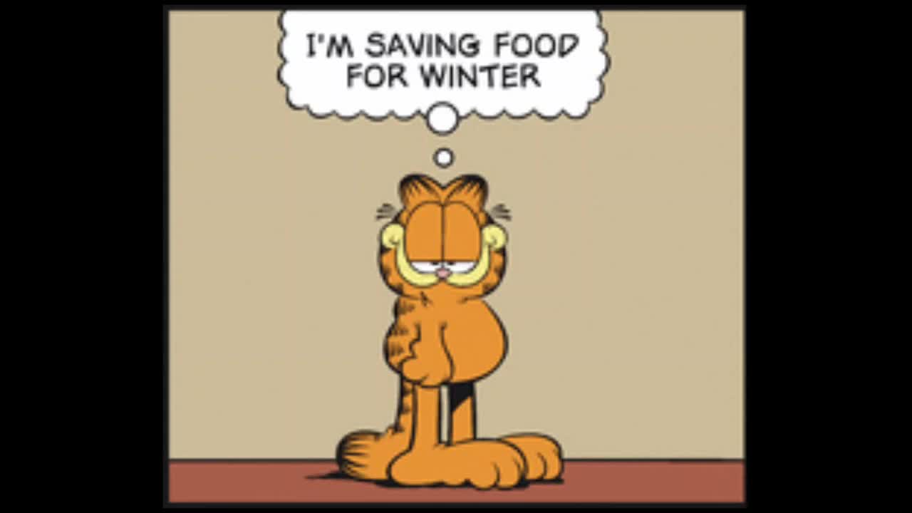 2025_10_25 Garfield Comic Dub