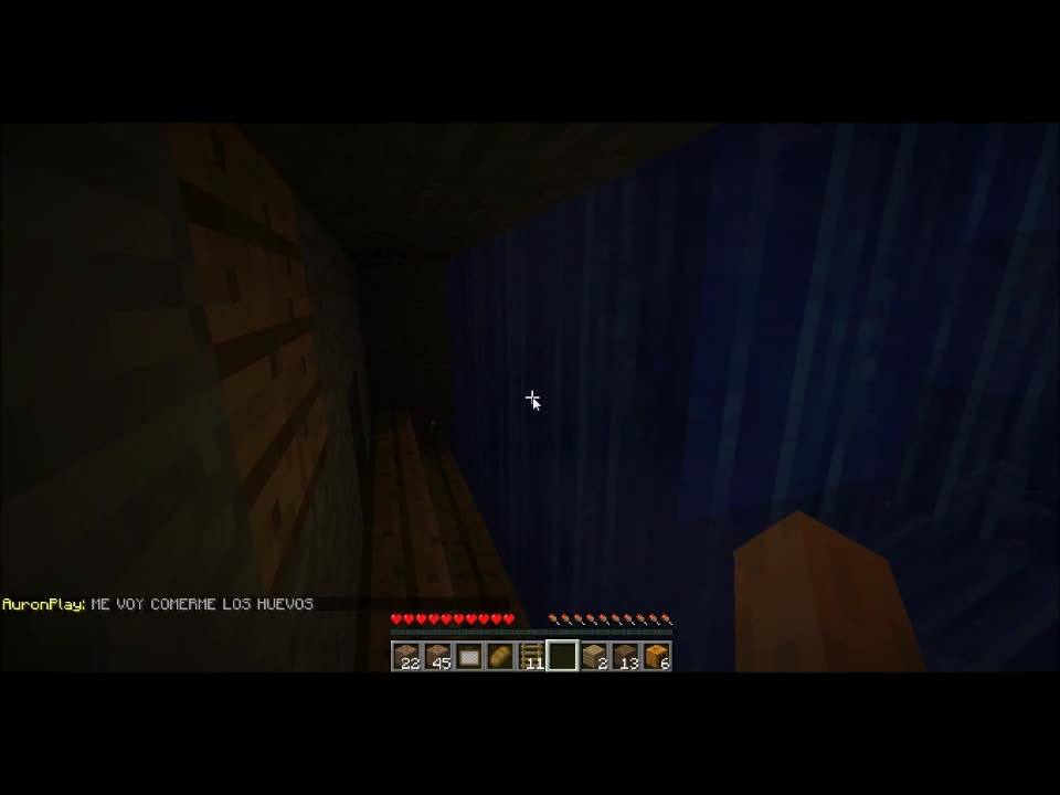 _EXTRA_ La nueva casa de perxitaa