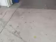 VID_20260521_134950