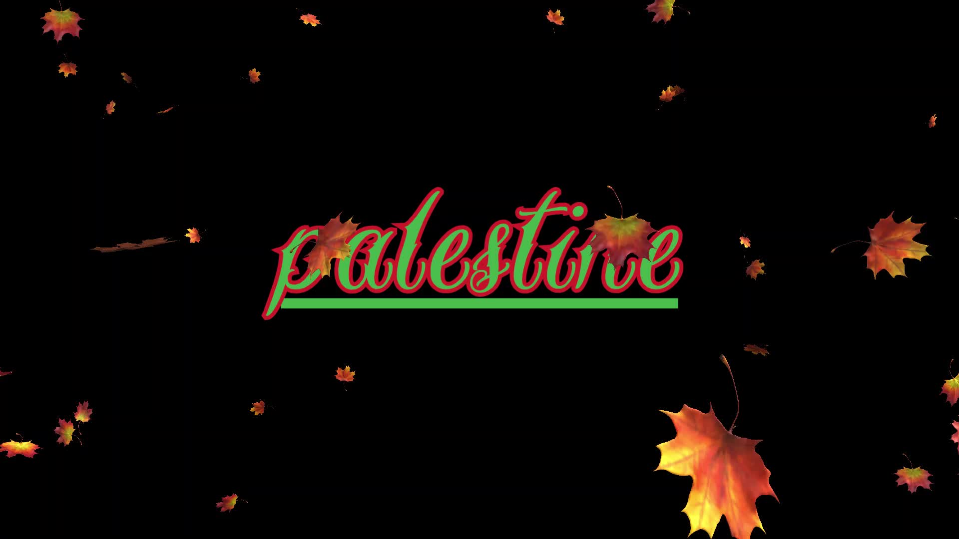 Palestine ¦ Takarmány (dalszöveges audió)