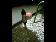 Poland can into Space! (Polandball)