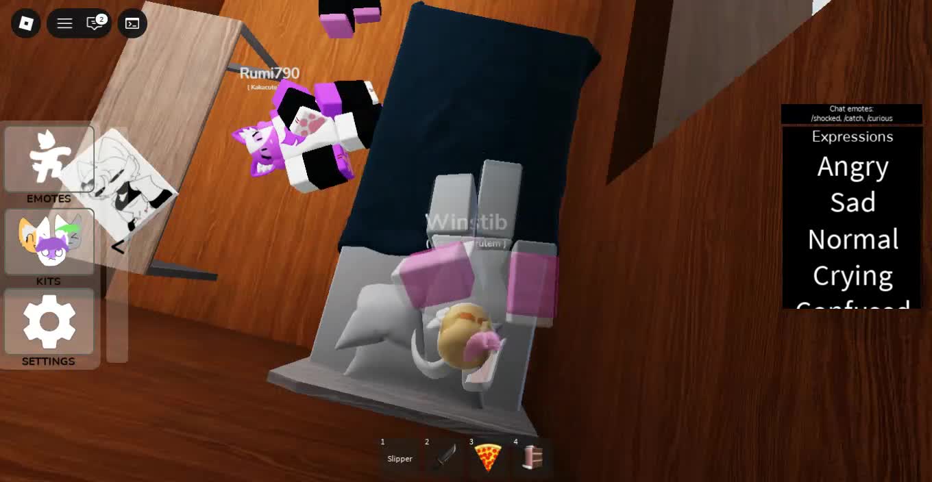 Roblox-2025-12-29T00_08_42.393Z