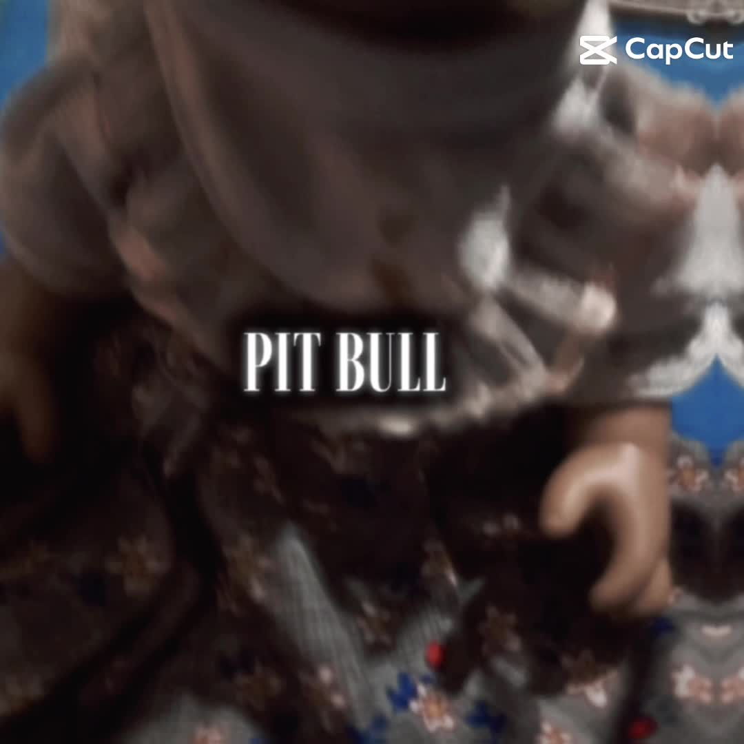 PIT BULL