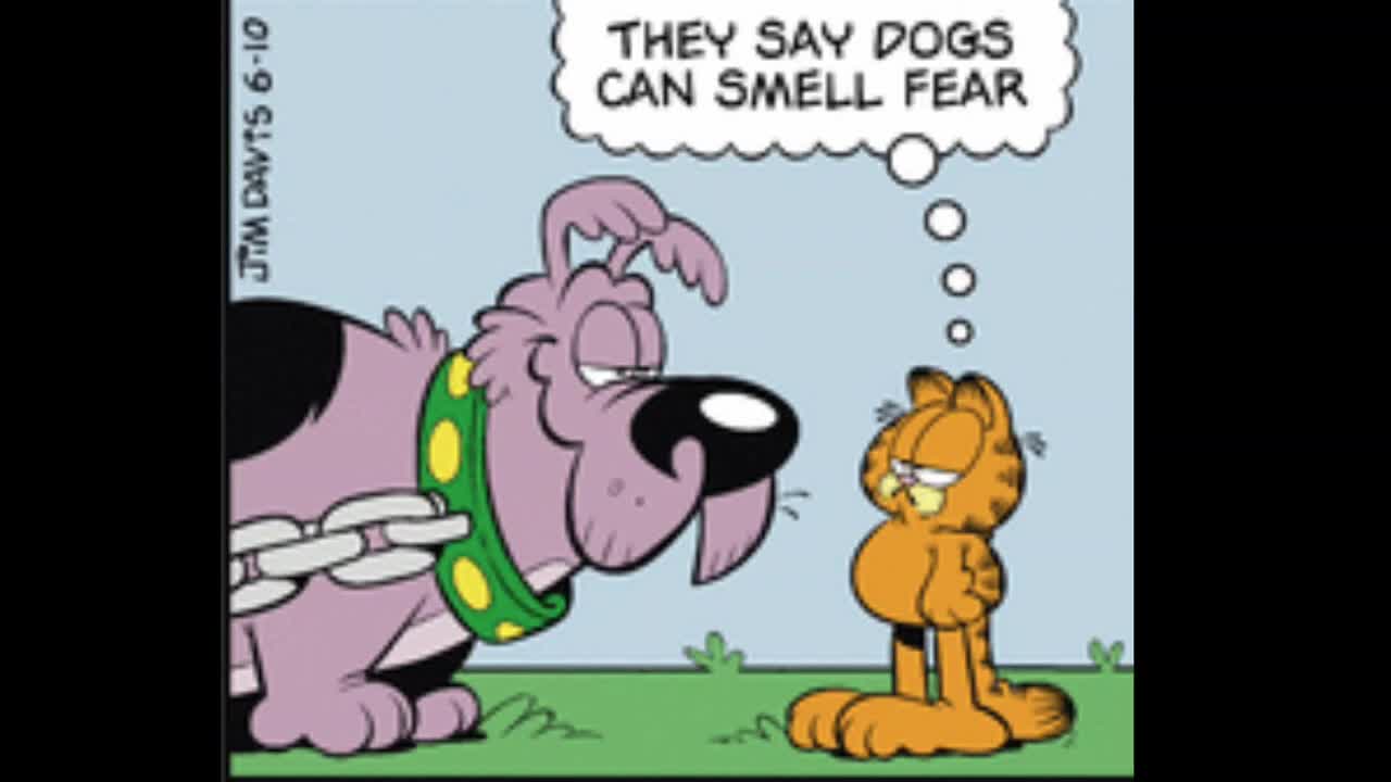 2026_06_10 Garfield Comic Dub
