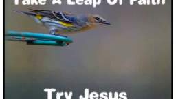 Faith Piccs 2