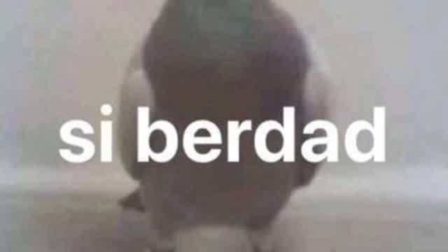 Grabación de pantalla 2026-02-19 123407