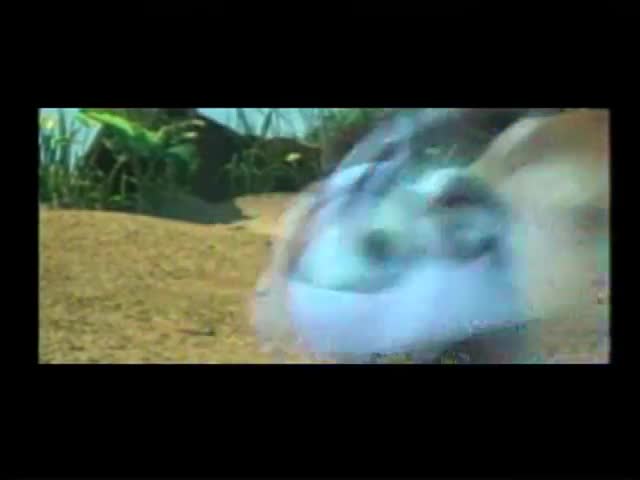 GITCY： A Bug's Life