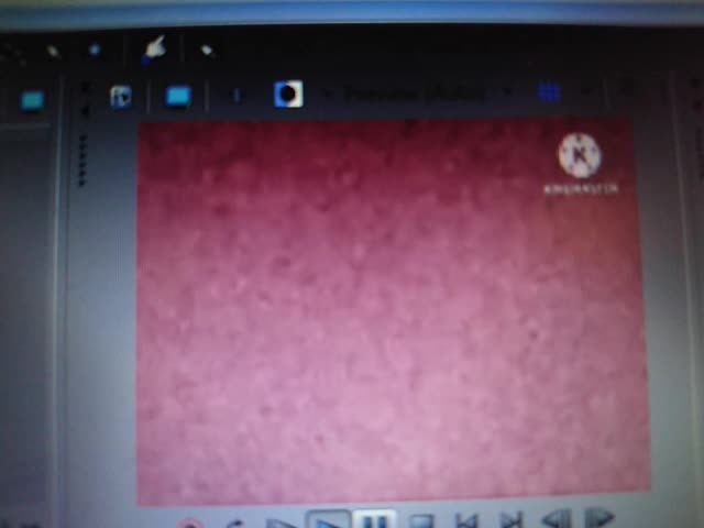 Another Canaly Csupo YTP N1