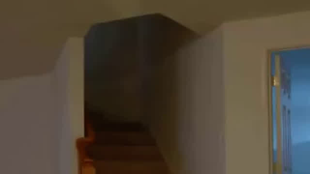 bear_falling_down_the_stairs