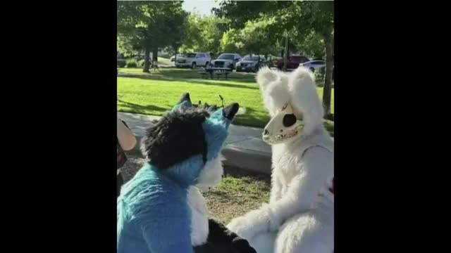 100% PROOF THAT WE ARE LIVING IN AN INSANE ASYLUM! 100% PROOF THAT WE ARE LIVING IN AN INSANE ASYLUM!