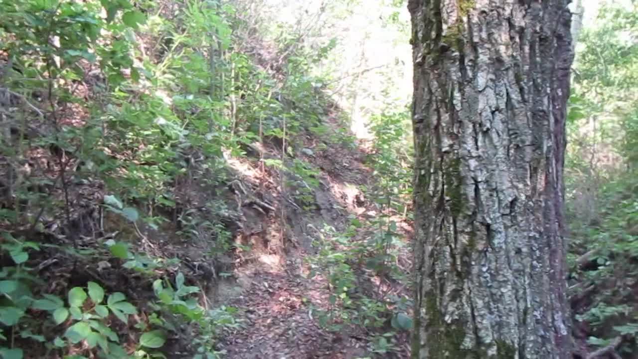 Childhood Videos #8 - playing with my camera